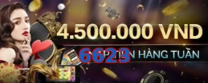6623
