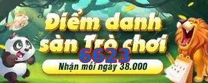 6623
